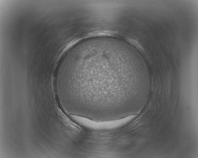 X0000062621404200601040953