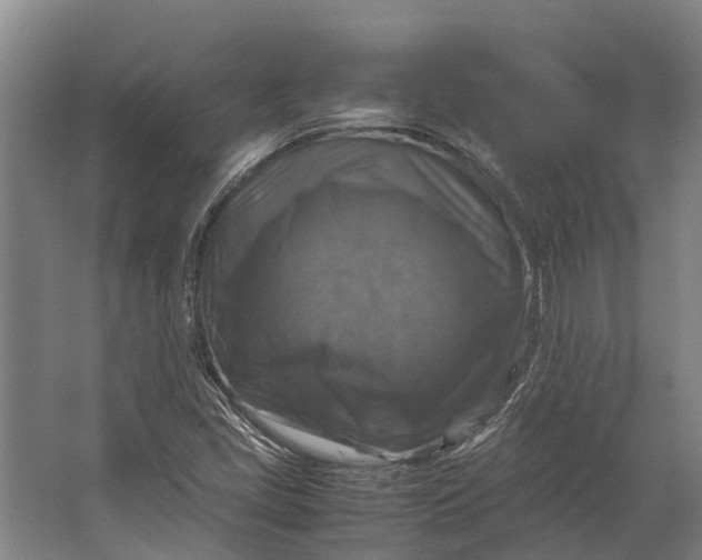 X0000062621405200601040953