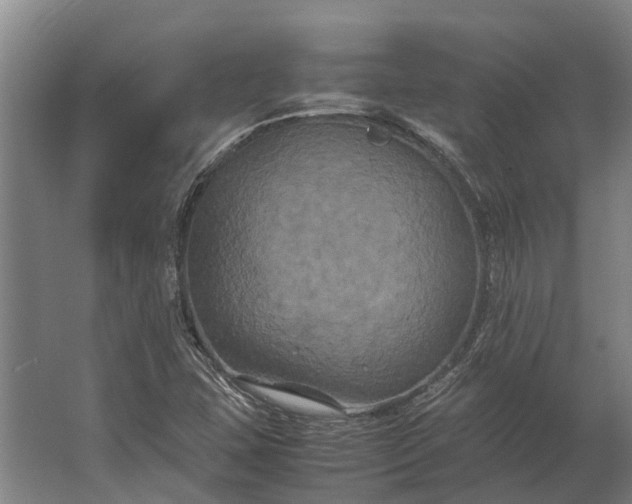 X0000062621407200601040953