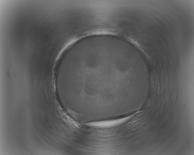 X0000062621408200601040953