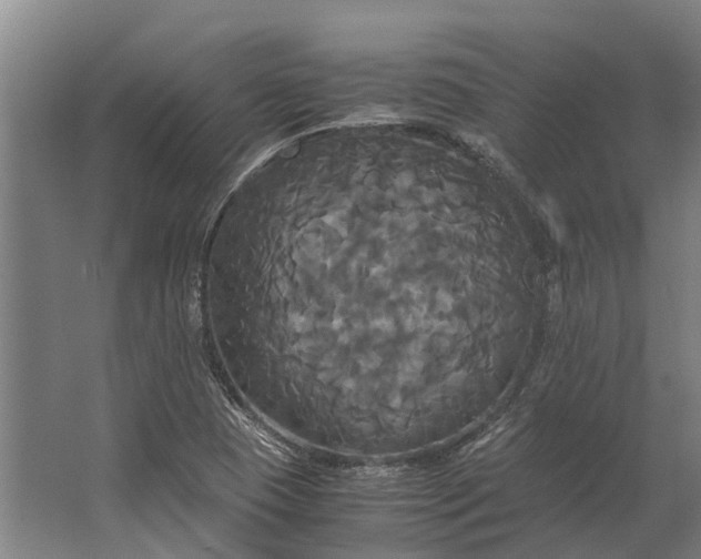 X0000062621409200601040953