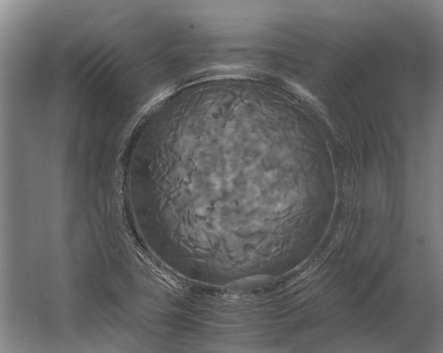 X0000062621411200601040953