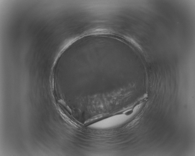 X0000062621413200601040953