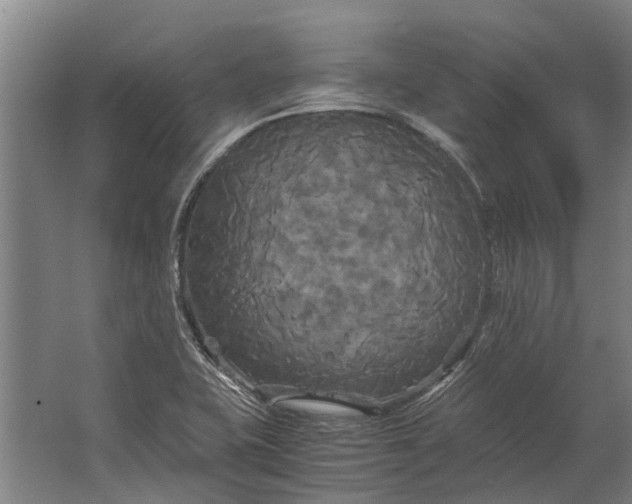 X0000062621415200601040953