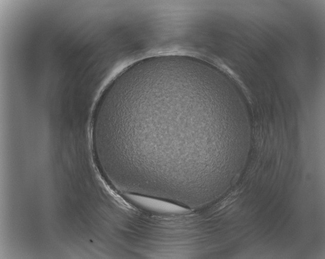 X0000062621416200601040953