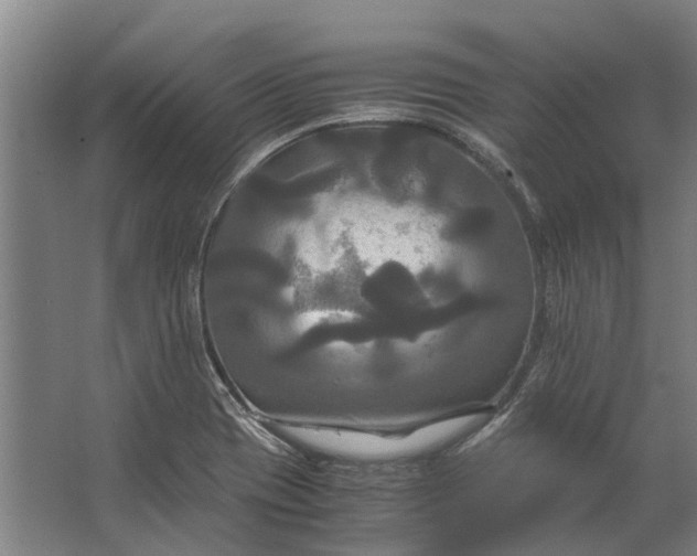 X0000062621417200601040953