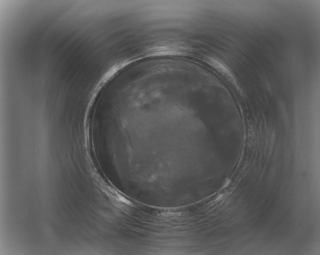 X0000062621419200601040953