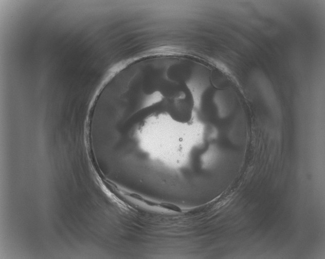 X0000062621421200601040953