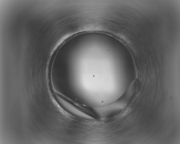 X0000062621422200601040953