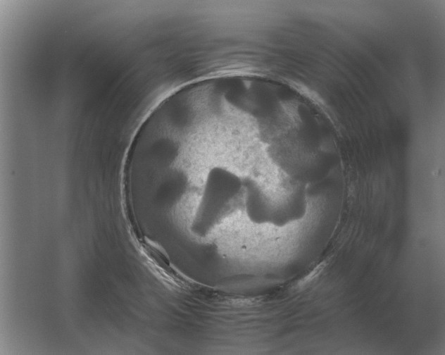 X0000062621423200601040953