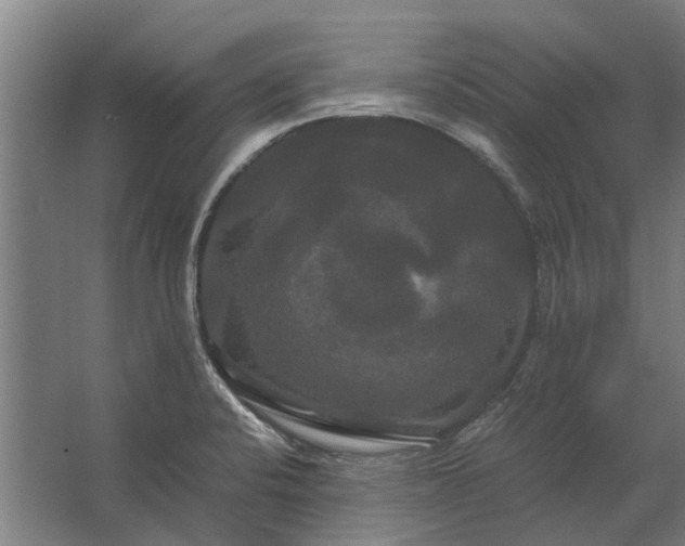 X0000062621424200601040953