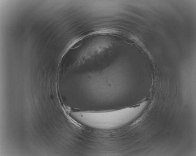 X0000062621425200601040953