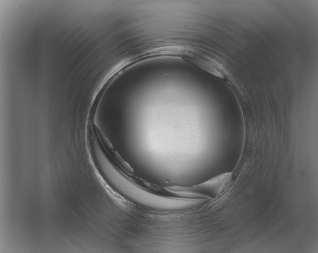 X0000062621426200601040953