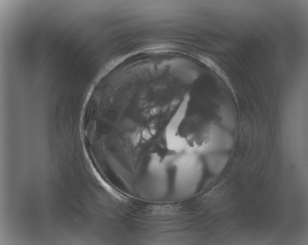 X0000062621429200601040953