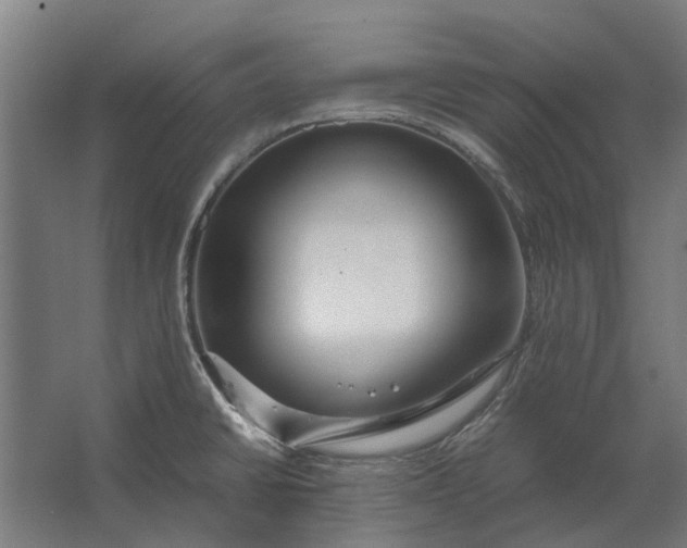 X0000062621430200601040953