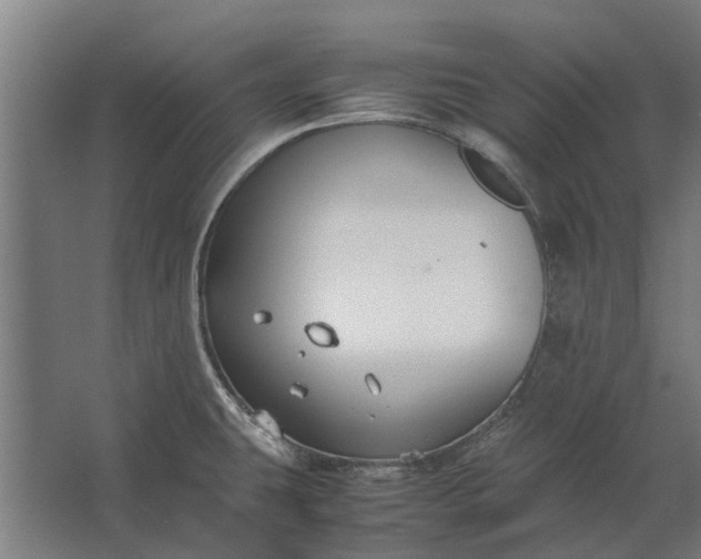 X0000062621431200601040954