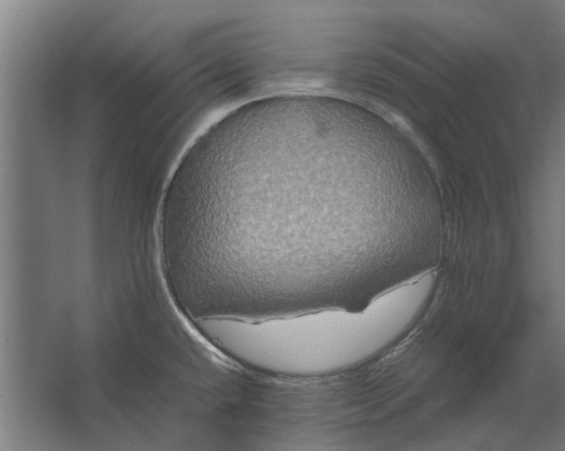 X0000062621432200601040954