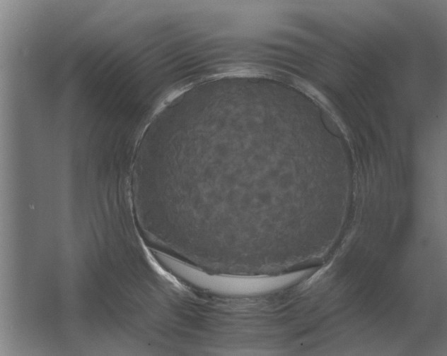 X0000062621433200601040954