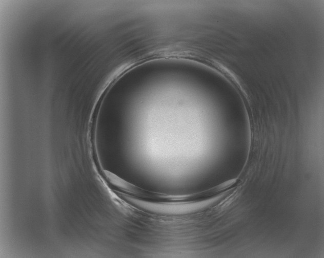 X0000062621434200601040954