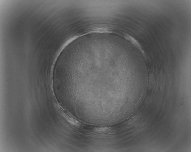 X0000062621435200601040954