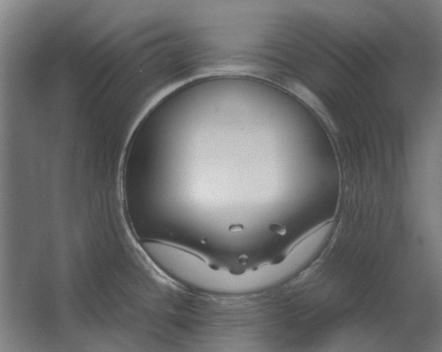 X0000062621436200601040954