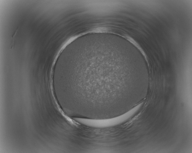 X0000062621437200601040954