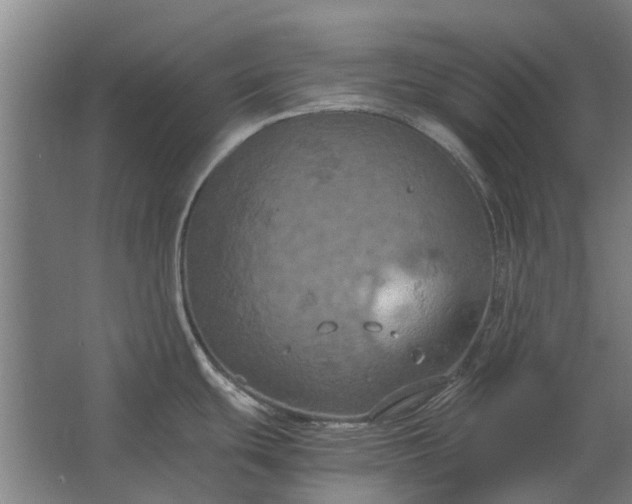 X0000062621439200601040954