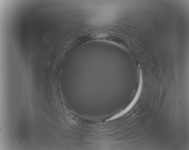 X0000062621441200601040953