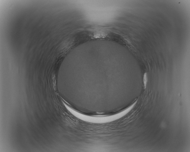 X0000062621443200601040953