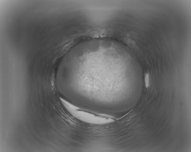 X0000062621444200601040953