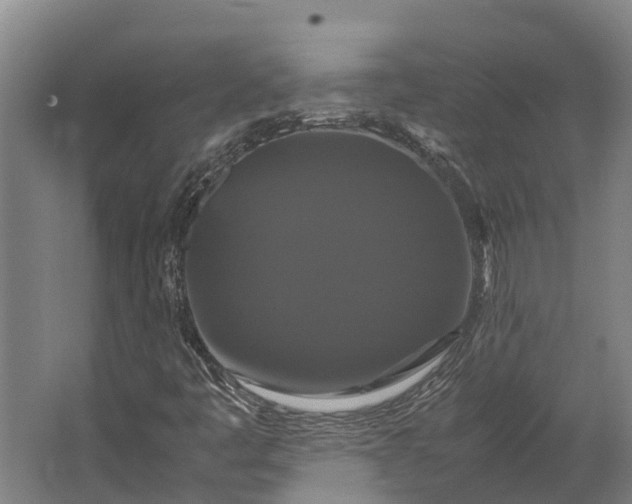 X0000062621445200601040953