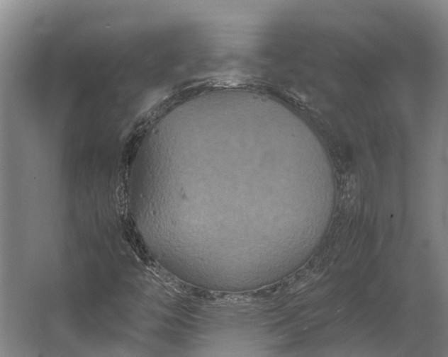 X0000062621446200601040953