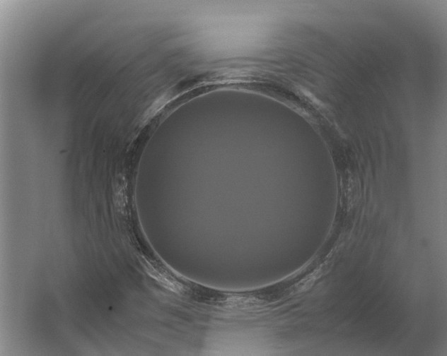 X0000062621449200601040953