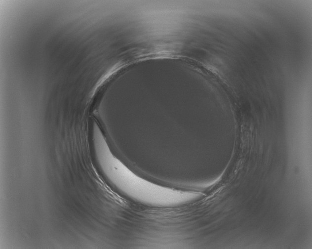 X0000062621450200601040953