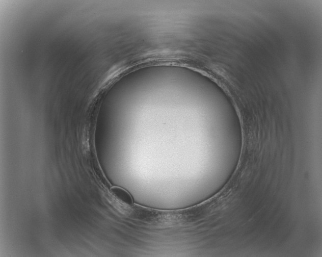 X0000062621451200601040953