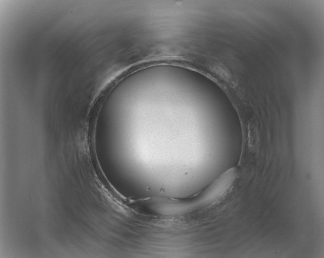 X0000062621452200601040953