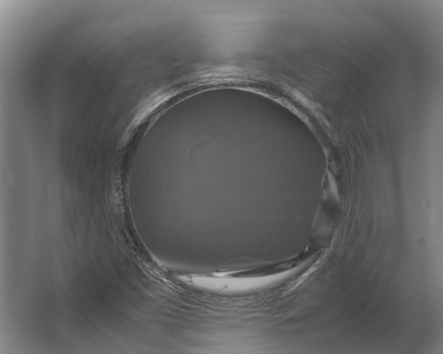 X0000062621453200601040953