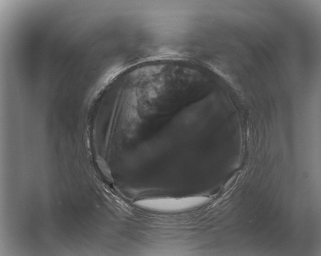 X0000062621455200601040953