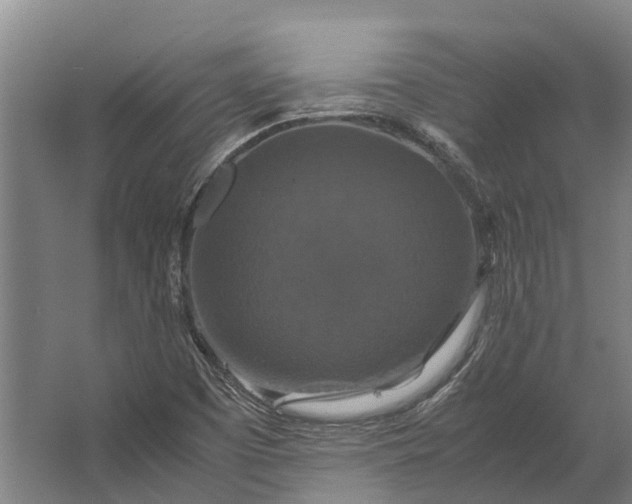 X0000062621457200601040953