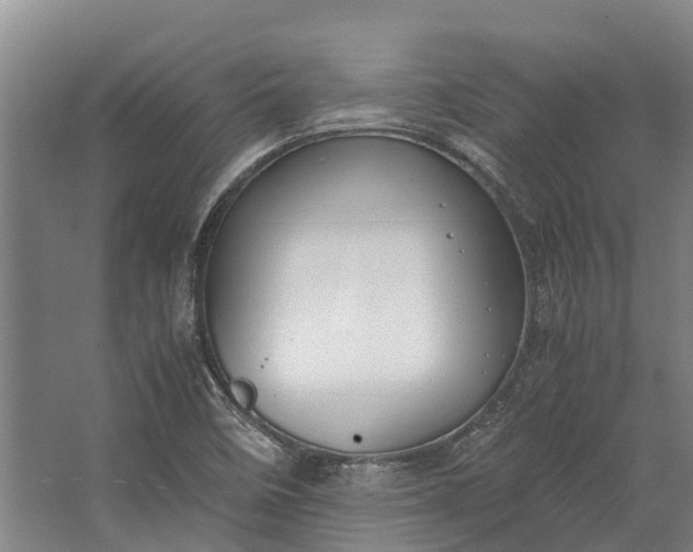 X0000062621458200601040953