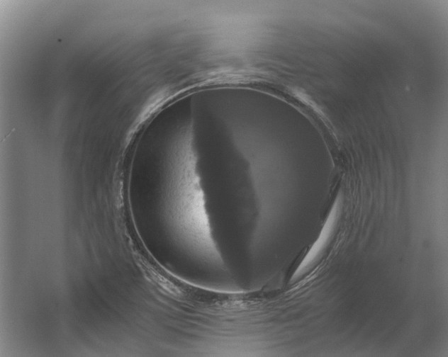 X0000062621459200601040953