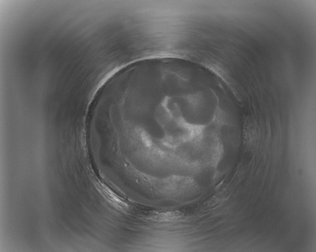 X0000062621460200601040953