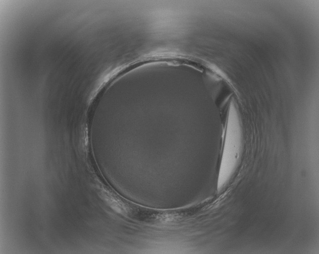 X0000062621461200601040953