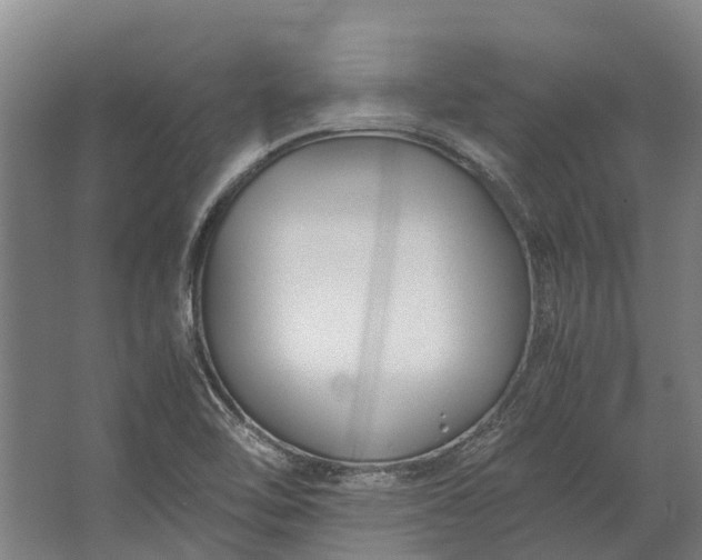 X0000062621462200601040953