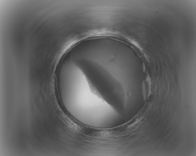 X0000062621463200601040952