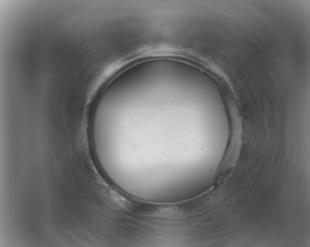 X0000062621464200601040952