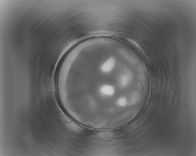 X0000062621466200601040952