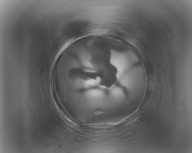 X0000062621467200601040952