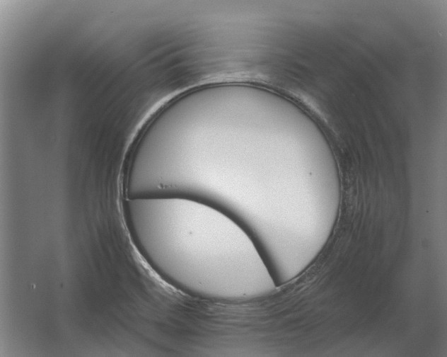 X0000062621468200601040952