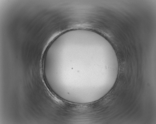 X0000062621470200601040952